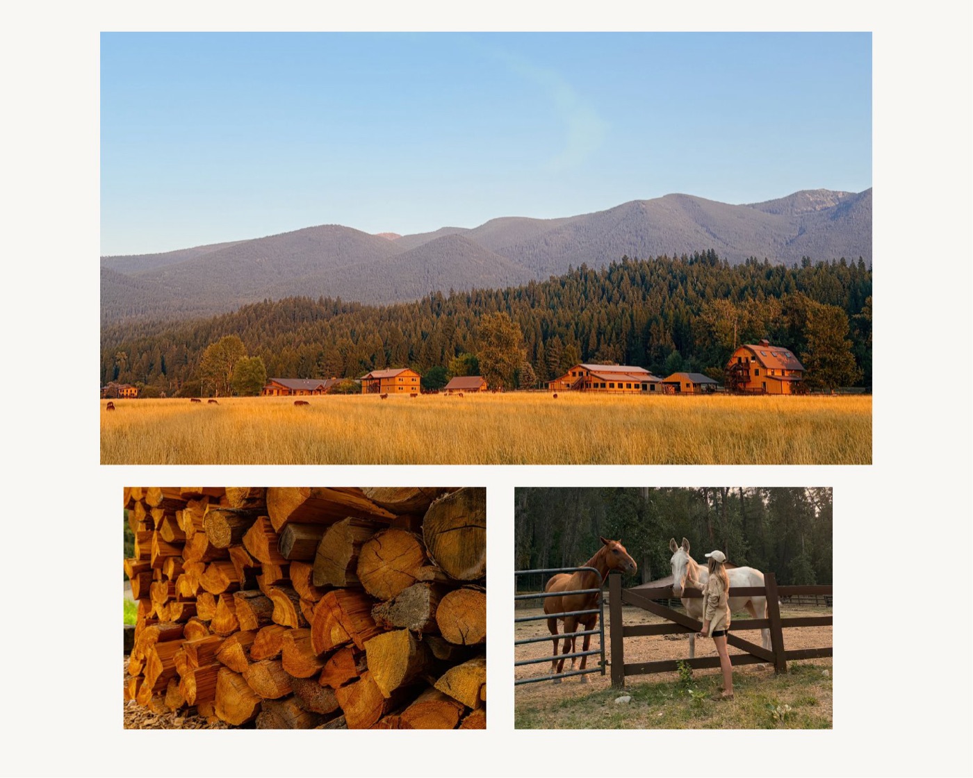 The campus below the mountains; firewood; horses