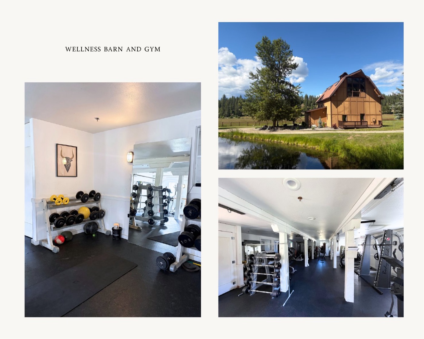Wellness barn and gym