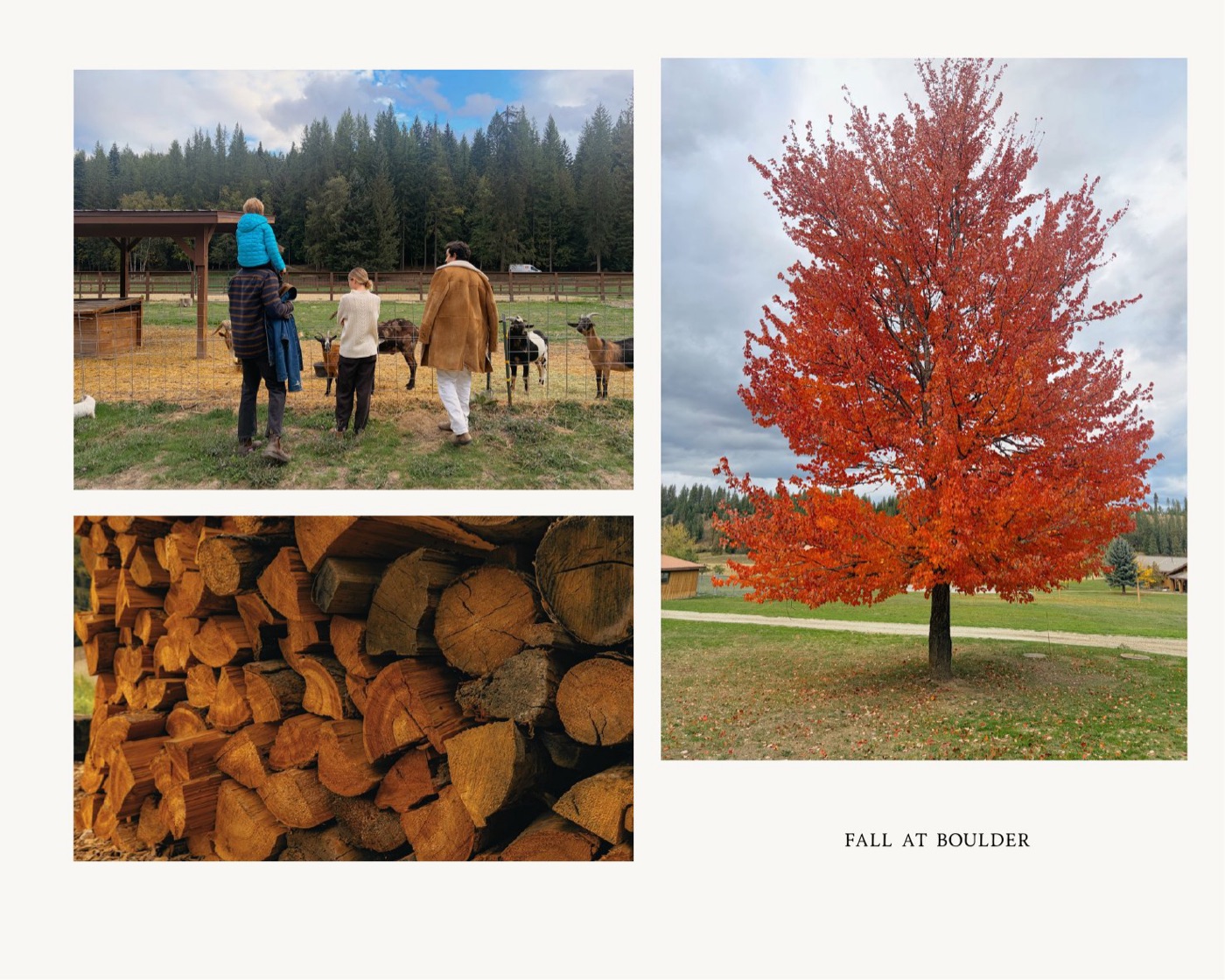 Fall at Boulder