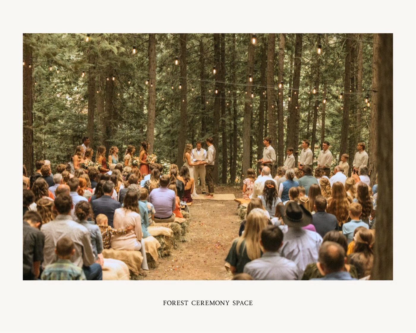 Forest ceremony space