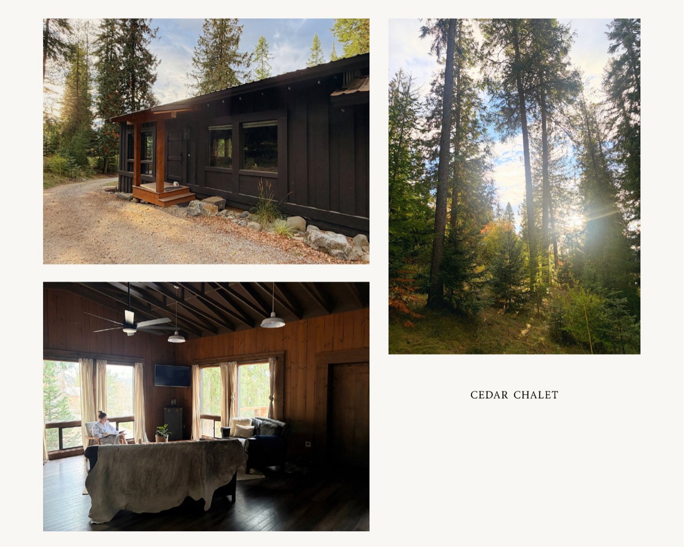 Cedar Chalet, the porch and the view