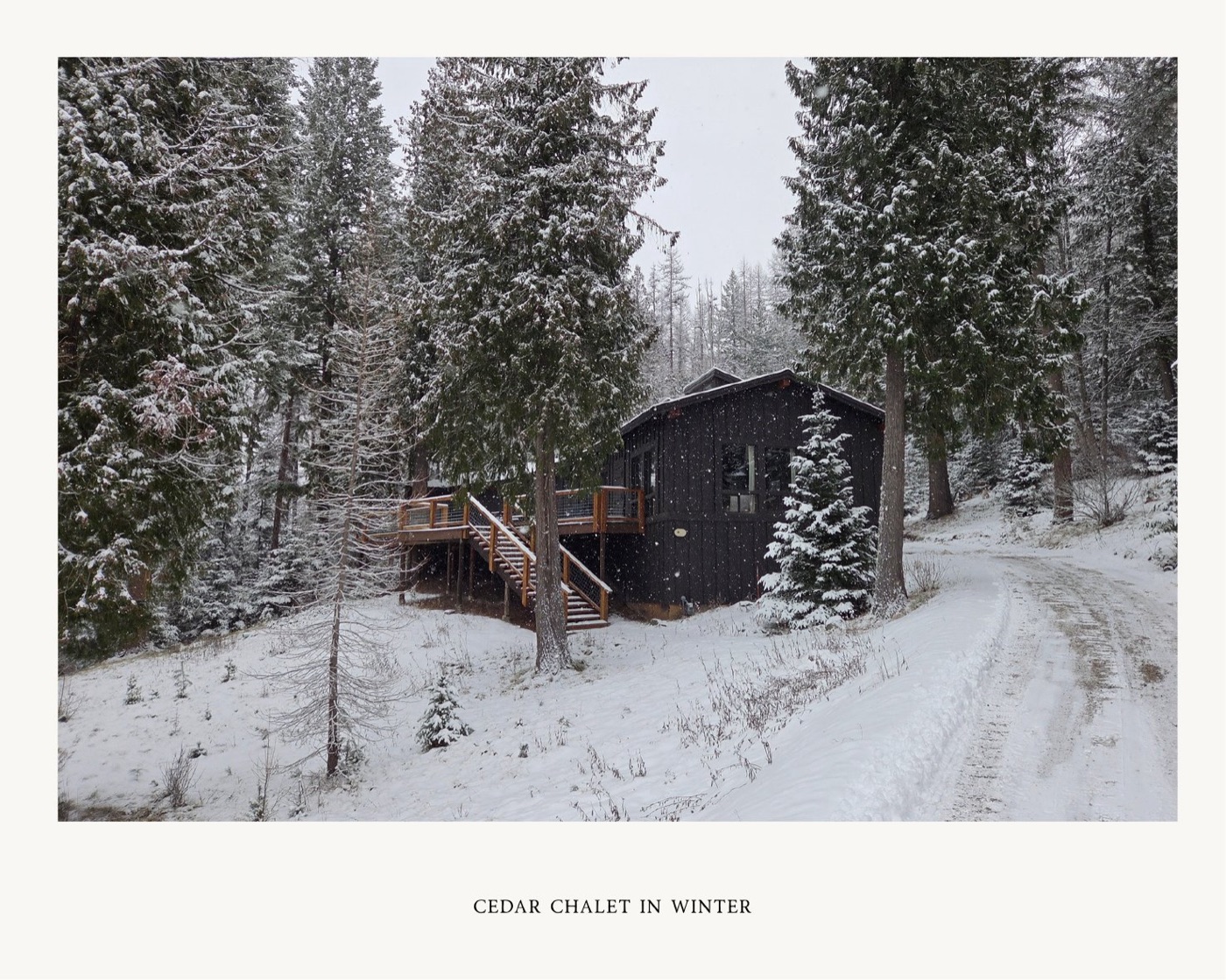 Cedar Chalet in winter