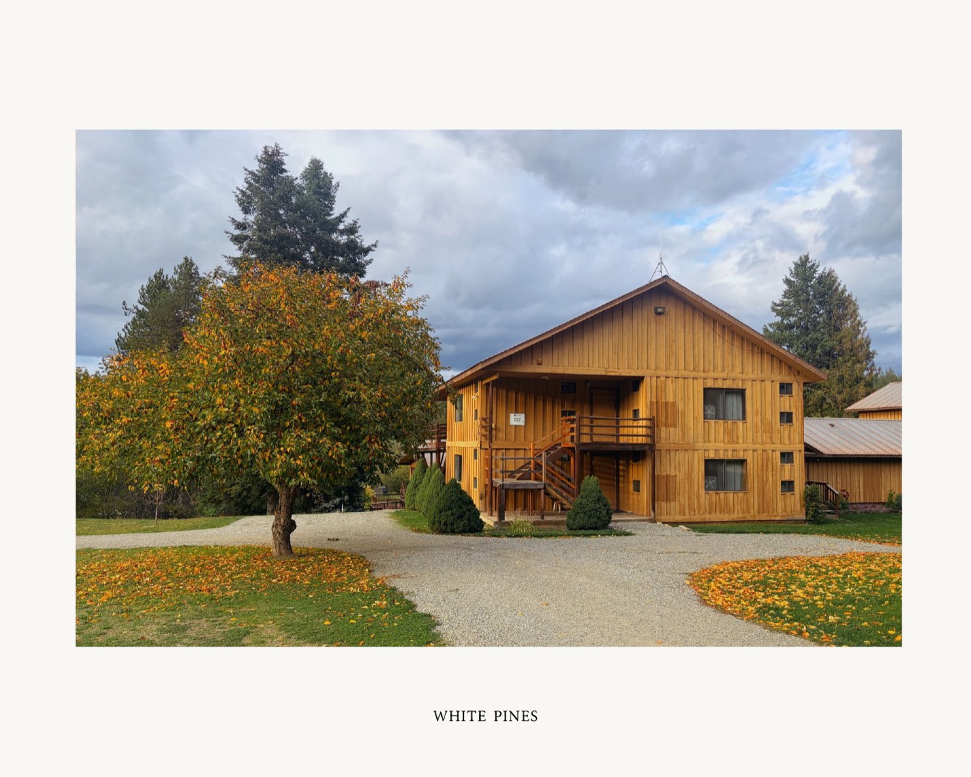 White Pines