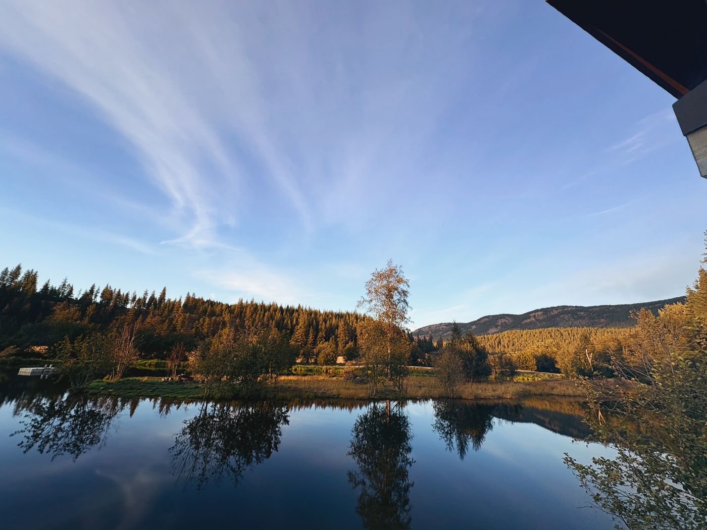 The pond at evening, the trees reflected in still water