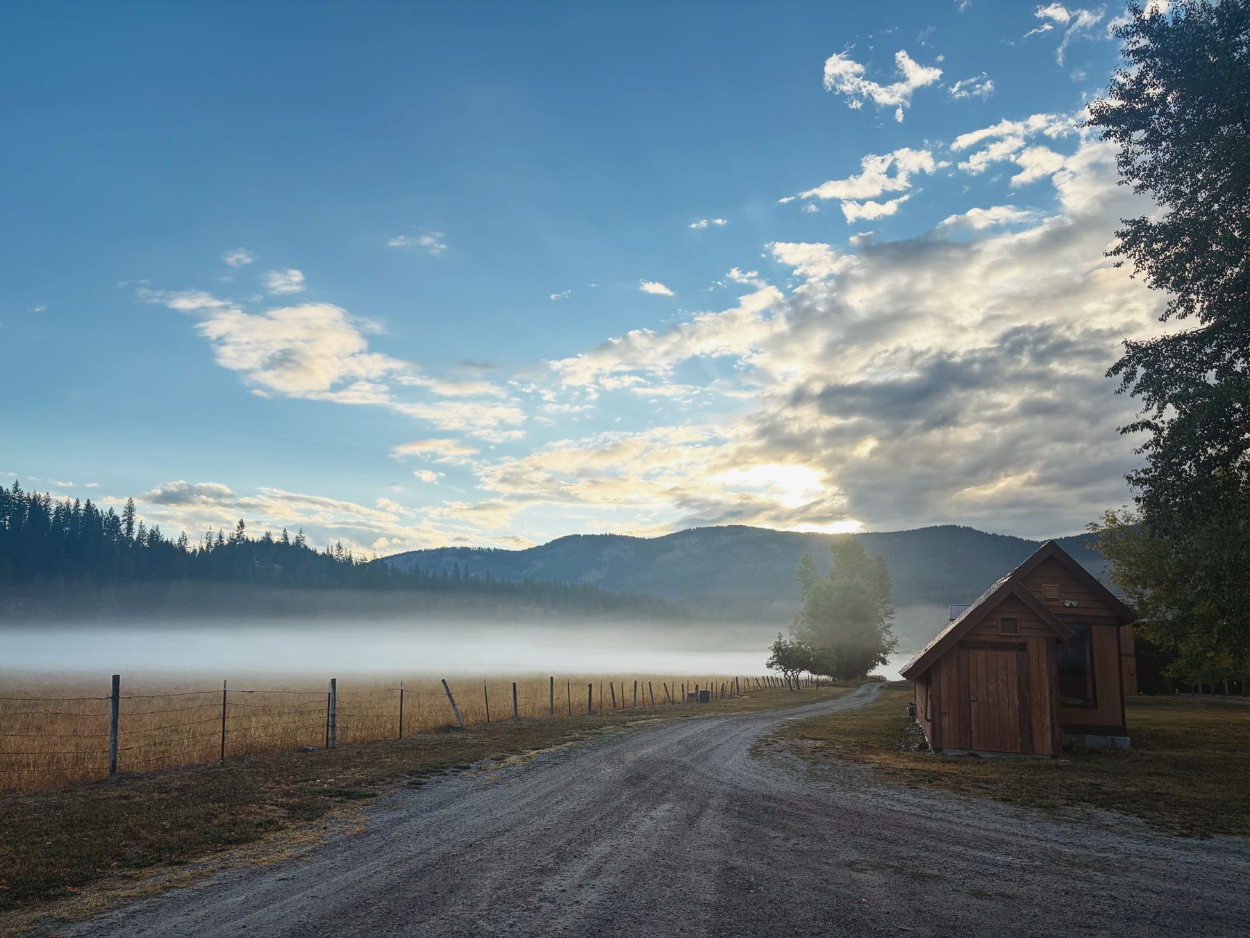 Morning fog over the pasture, the small cabin by the road