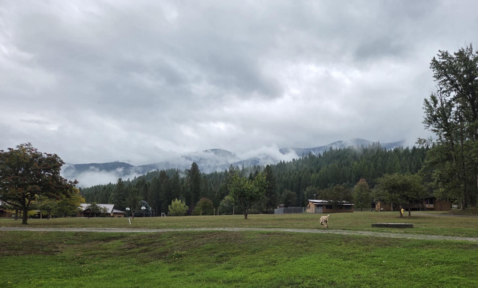 Low cloud on the ridge above the pasture, Sunday morning