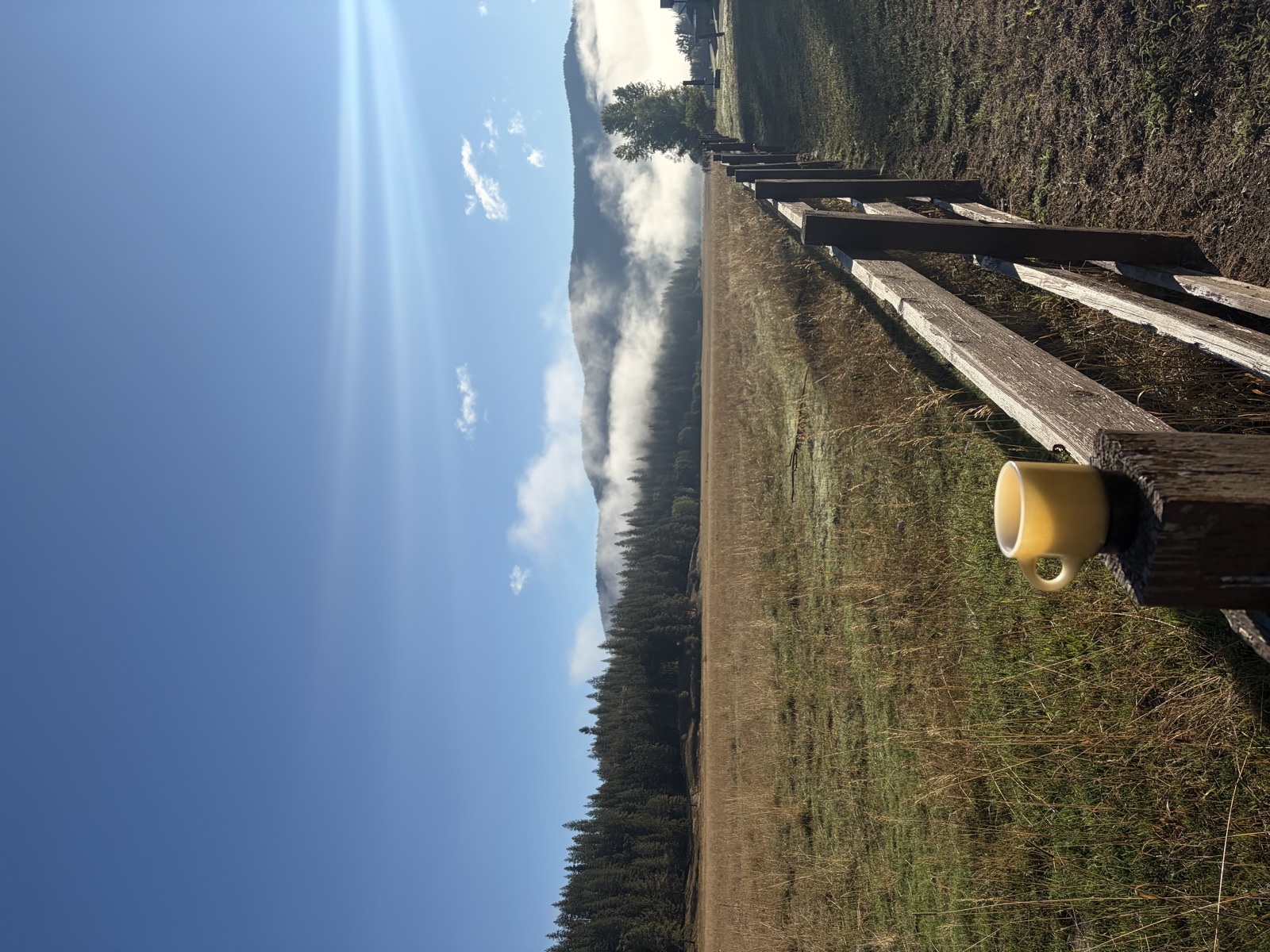 A yellow mug on the fence post, fog on the ridge behind the pasture