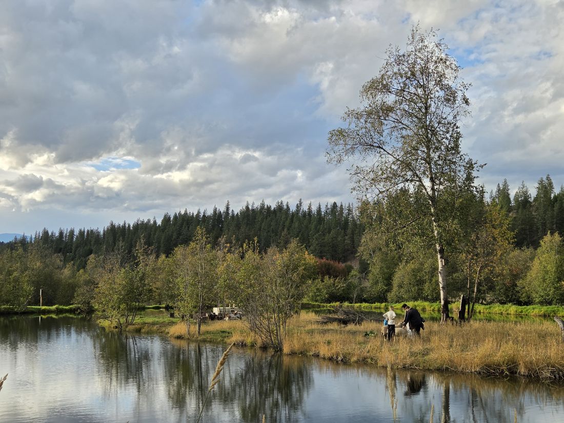 The pond and the birches, two people at the water's edge