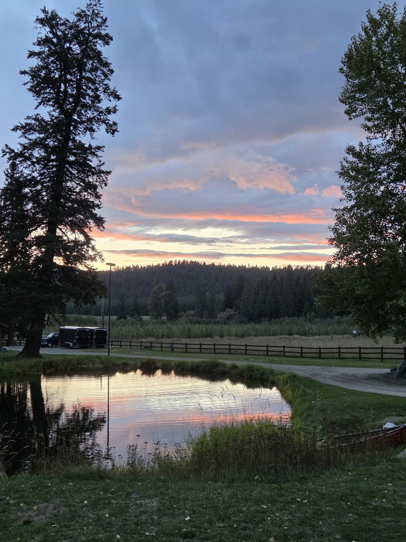 Sunset over the pond