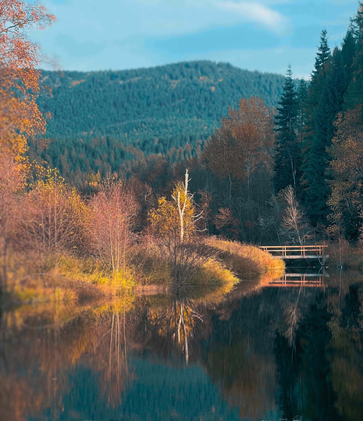The pond in fall color, footbridge at the far end, mountain behind